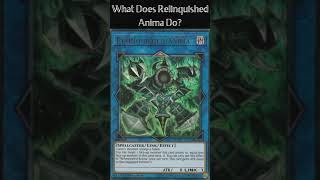 What Does Relinquished Anima Do Yugioh Cards Explained for Easy Deck Building [upl. by Shapiro]