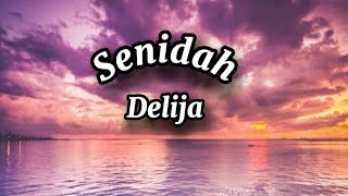 Senidah  Delija Lyrics tekst [upl. by Anelrad]