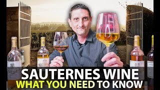 What you Need to Know about Sauternes Wine  Your 5Minute Guide [upl. by Oliviero]