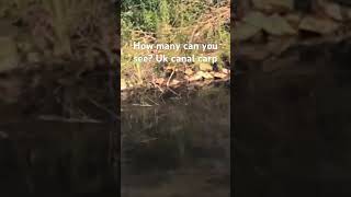 Uk canal carp fishing nature outdoor fish uk relaxing [upl. by Marron306]