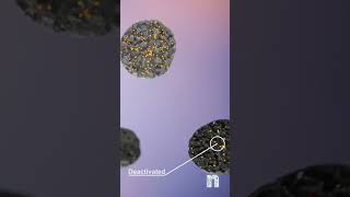 Catalyst Diagnostics using a Microreactor Platform  Science Animation [upl. by Marva477]