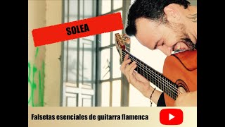 Falsetas esenciales Solea [upl. by Cami721]