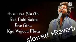 Hum Tere Bin ab Reh nahi Sakte  slowed  Reverb   Arijir singh  Aashiqui 2 💕💕 [upl. by Asirac188]