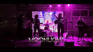 Moonlight Party Band  Live Show [upl. by Muhcan448]