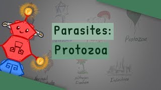 Parasites Protozoa classification structure life cycle [upl. by Idorb]