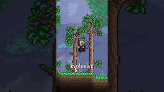 Every Terraria Secret Seed terraria shorts gaming gamingshorts [upl. by Gavrah488]