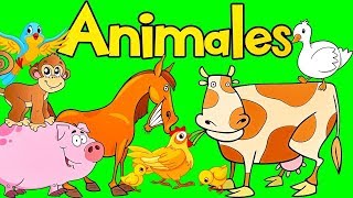 Sonidos de Animales para bebes  Aprende los Animales  Videos para Ninos  SuperDivertido [upl. by Weibel]