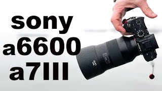 Sony A6600 VS Sony A7III  Can YOU Get More for Less Pendu daddy [upl. by Voccola]