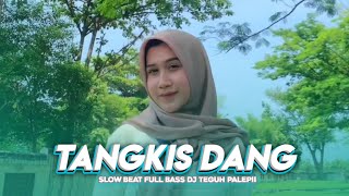 DJ TANGKIS TANGKIS DANG TELOLET MSLOW KANE  DJ Teguh Palepii  Official Cinematic Video [upl. by Marty]