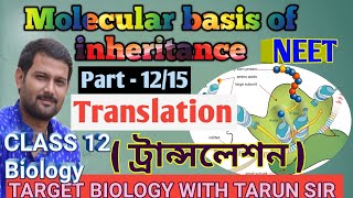 ট্রান্সলেশন  Translation molecular basis of inheritance  part  1215  neet  target biology [upl. by Virgy]