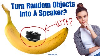 Anything Speaker Review 2024  Turns Random Objects Into A Speaker [upl. by Dryfoos]