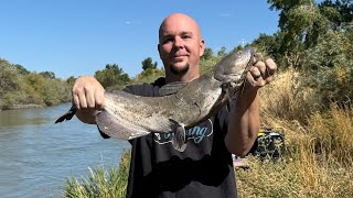 Jordan River Catfish using my White Bass cut bait [upl. by Nowd]