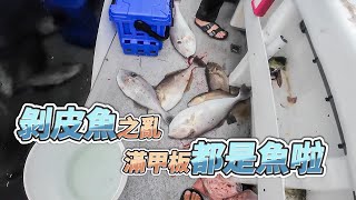 【台客去船釣】四年一次潮境公園盛況剝皮魚之亂！正餌正吃組掉的比釣起來的多！feat星鋒6號娛樂海釣船 [upl. by Garrick]