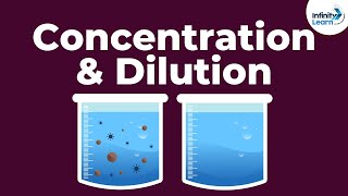 Dilute or Concentrated AcidsBases  Dont Memorise [upl. by Seale]