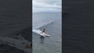 Beginner scores a good wave surfing wavestorm softtop beginnersurfer hawaii [upl. by Annette268]