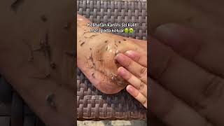 Deep Cleansing Remove Dust and Dead Skin ameenbeautytips GlowAndCleanByAmeen [upl. by Larson58]