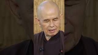 Dont Miss the Appointment with Life  Thich Nhat Hanh  shorts [upl. by Naesar322]