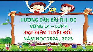 vòng 14  IOE lớp 4 nh 2024 2025 [upl. by Ahsenod]