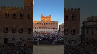 Palio Siena 2024 [upl. by Eutnoj]