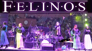 ¡¡¡AMANDA BAILA CON LA BANDA LOS FELINOS EN MORELIA 3 DE ABRIL 2022 [upl. by Lalo]