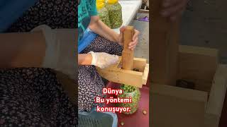 Zeytin Kırma zeytin gemlik cukurova [upl. by Anilat154]