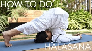 How to do Halasana The Plow Pose  SRMD Yoga [upl. by Alvin]