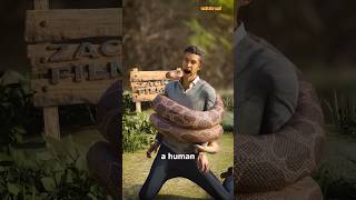 How A Snake Could Choke A Human part 1 😲shorts [upl. by Zwick]