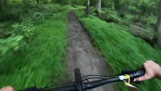 Riding a Giant Stance 29 2 at rock house hill sanctuary bike park after rain [upl. by Gabriello]