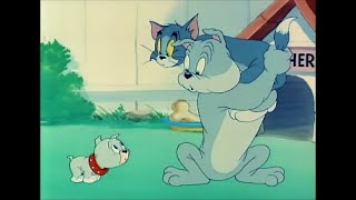 Tom and Jerry  Love That Pup 1949 [upl. by Aniar]