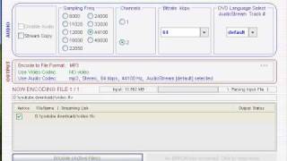 FLV to MP3 conversion [upl. by Eiramlirpa]