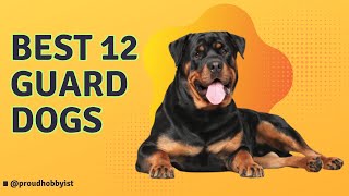 12 Guard Dogs For Your Family  Best Guard Dogs  Proud Hobbyist [upl. by Eolande]