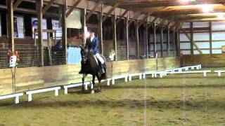 Dressage Intro Test B  Morgan Horse [upl. by Goetz618]