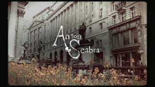 Anson Seabra  Fine Official Lyric Video [upl. by Comethuauc38]