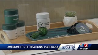 Amendment 3 Florida voters to decide on legalization of recreational marijuana [upl. by Nisotawulo112]