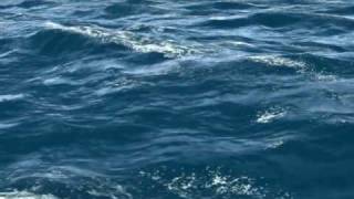 3d seaocean waves animation [upl. by Ahseekal]