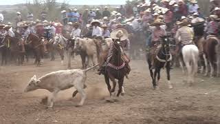 Coleadero en Pastelera Rio Grande Zacatecas [upl. by Osgood]