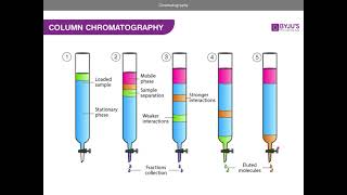 Chromatography AQA A level Chemistry [upl. by Ardekal]