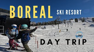 Why Boreal is Tahoes Top Choice for a Ski Day Trip [upl. by Grimaldi]