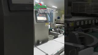 FAST and ACCURATE Checkweigher for Food Production Line [upl. by Adnih770]