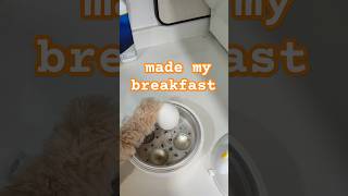 Today’s breakfastmicrowave boiled eggs  boiler for microwave ovens shorts köpekvideolarıdog [upl. by Bixby]