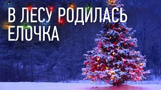 🎄 В лесу родилась Ёлочка  детская новогодняя песня [upl. by Arinay]