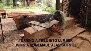 Turning a tree into lumber using a homemade Alaskan Mill [upl. by Scopp2]