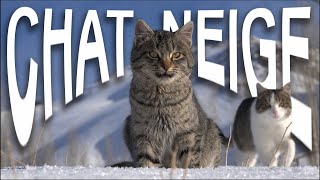 CHAT SE NEIGE [upl. by Farly]