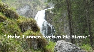 Hohe Tannen weisen die Sterne [upl. by Blithe]