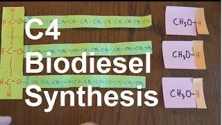 Biodiesel Synthesis [upl. by Hodge544]