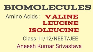 ValineLeucine IsoleucineAmino acid Biomolecule Aneesh Kumar Srivastava [upl. by Onaicilef274]