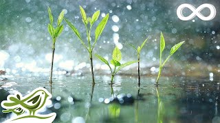 Raindrops • Relaxing Piano Music with Tropical Rain Sounds for Sleep Work or Meditation [upl. by Noxin]