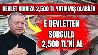 2500 TL ADINIZA TC NİZE DEVLET PARA YATIRMIŞ OLABİLİR BANA CIKMAZ DEME E DEVLETTEN SORGULA [upl. by Derwon]