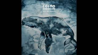 Cosmo Sheldrake  Nekton [upl. by Halivah]