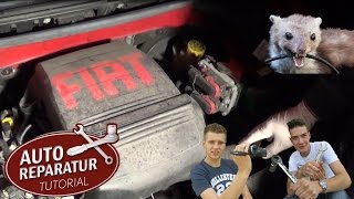 Marderschaden reparieren  Zündkabel wechseln  Auto Tutorial [upl. by Anav]